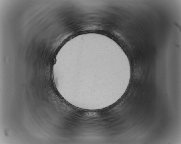 X0000098191313200805221508