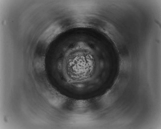 X0000098191314200805221508