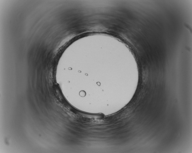 X0000098191315200805221508