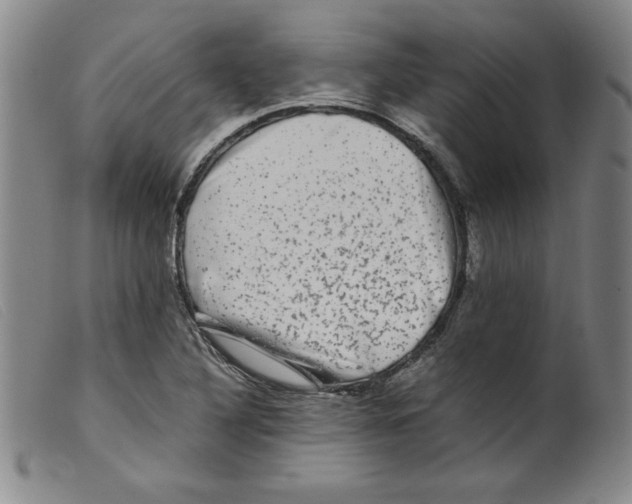 X0000098191316200805221508