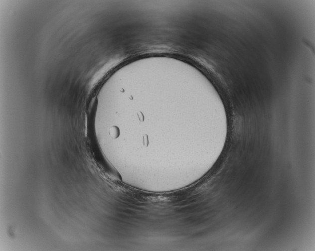 X0000098191317200805221508