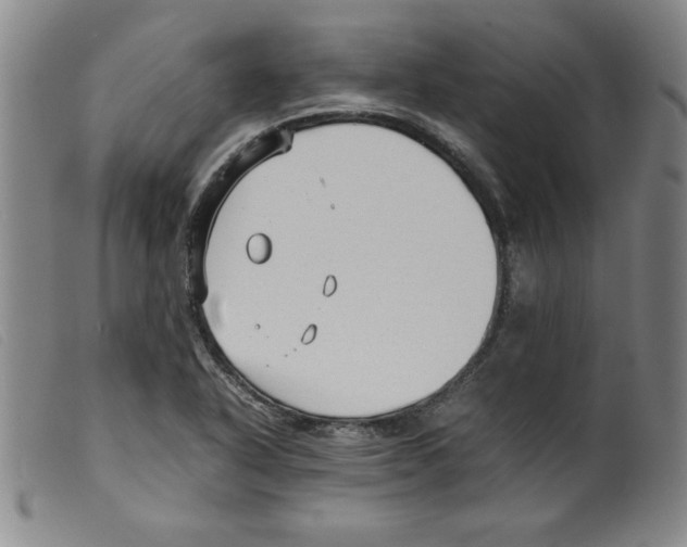 X0000098191318200805221508