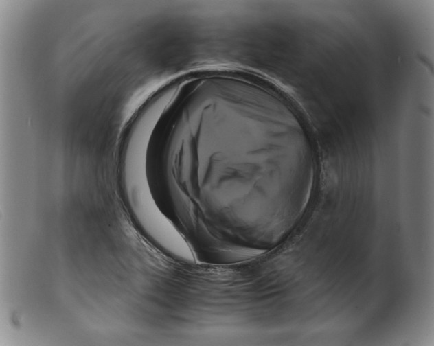 X0000098191319200805221508