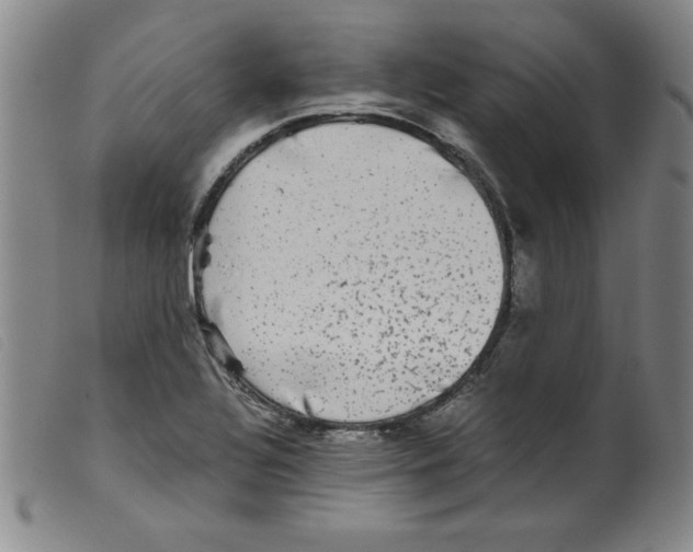 X0000098191320200805221508