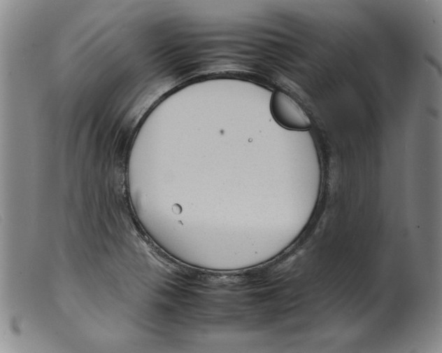 X0000098191321200805221508