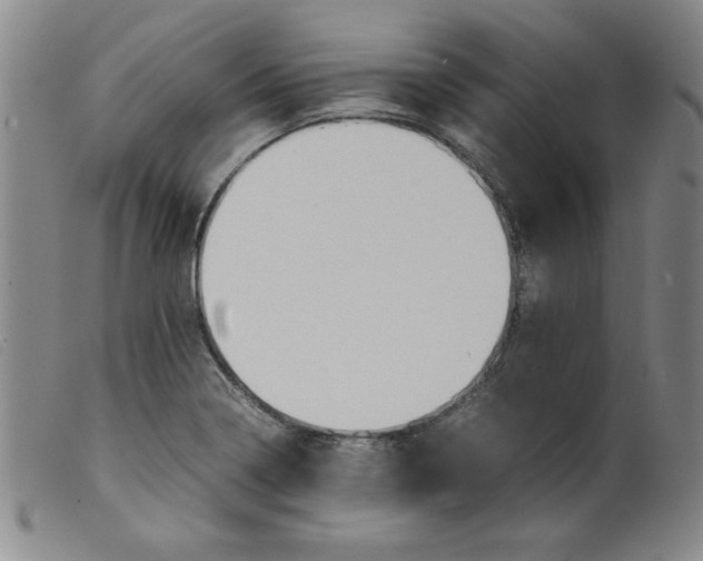 X0000098191322200805221508