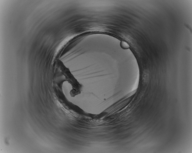 X0000098191323200805221508