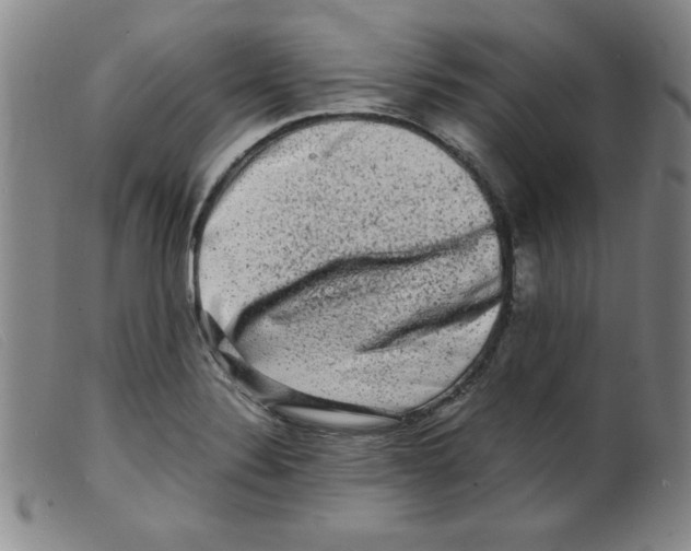 X0000098191324200805221508