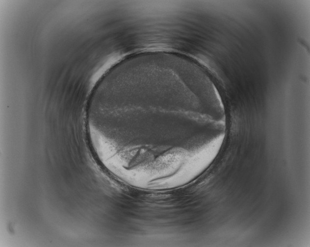 X0000098191325200805221508