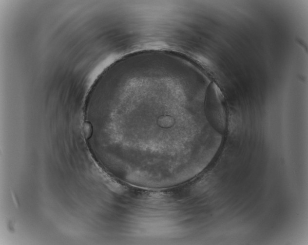 X0000098191326200805221508