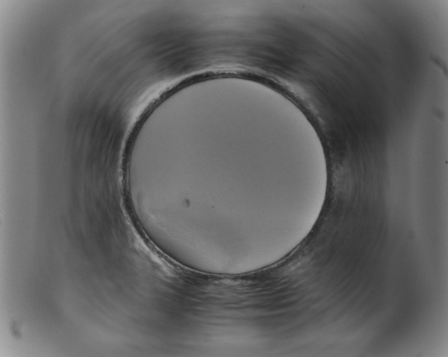 X0000098191327200805221508