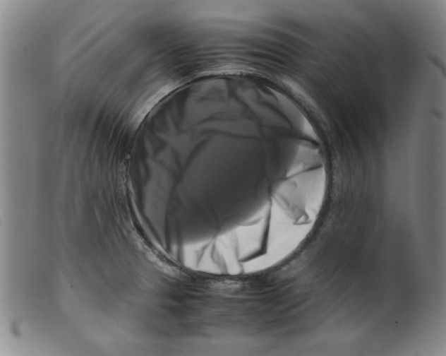 X0000098191329200805221508