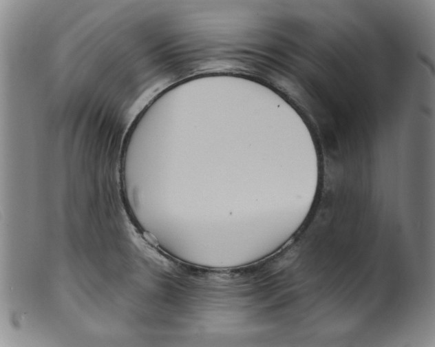X0000098191330200805221508