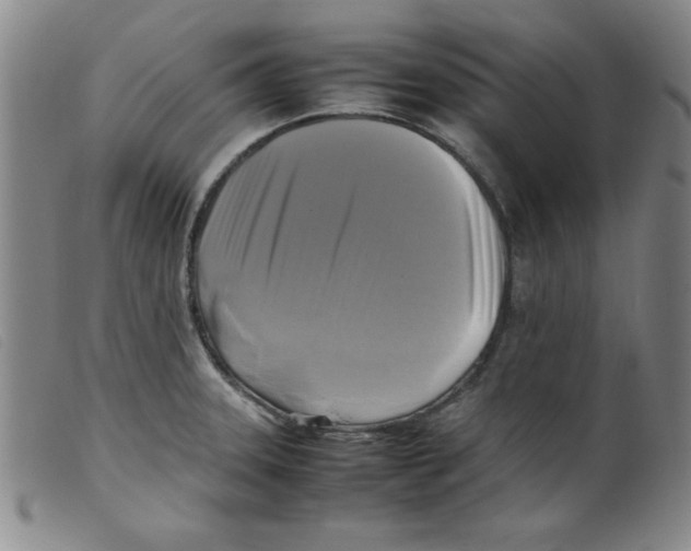 X0000098191331200805221508