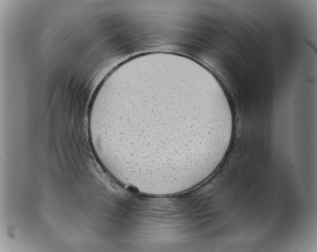 X0000098191332200805221508