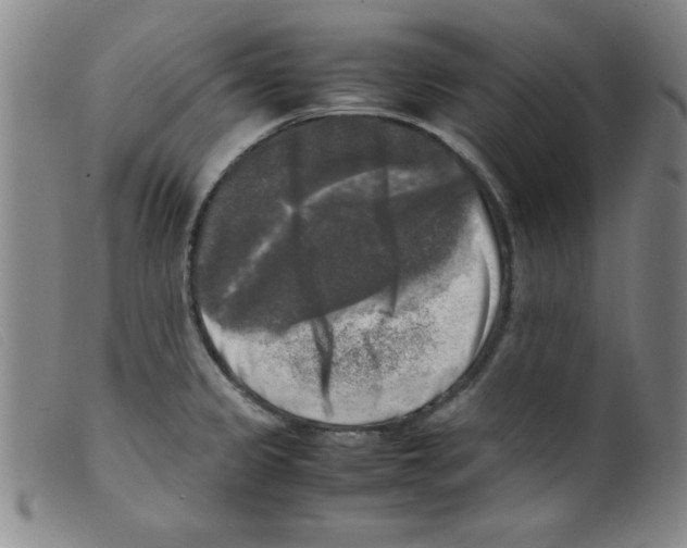 X0000098191333200805221508