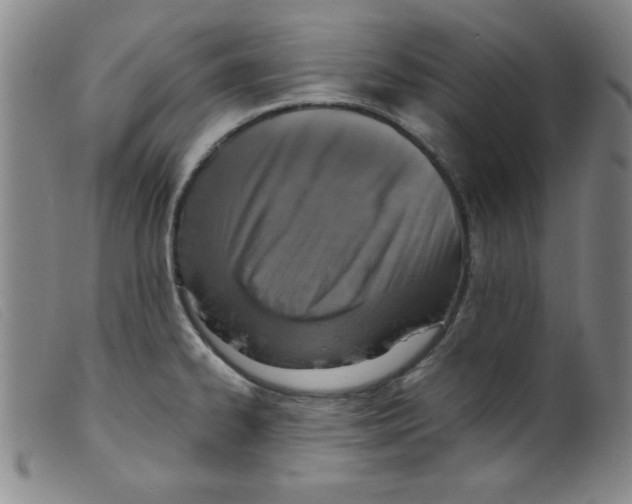 X0000098191334200805221508