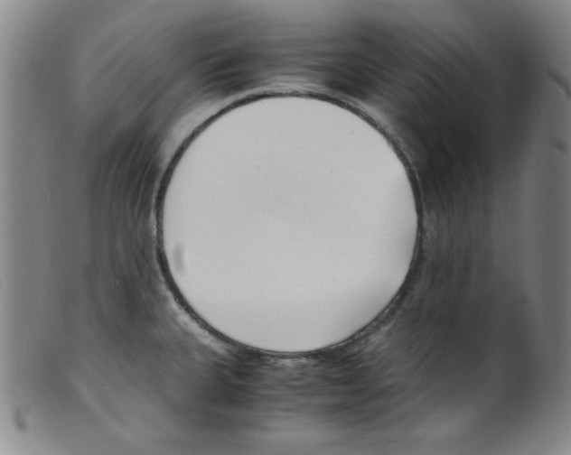 X0000098191335200805221508
