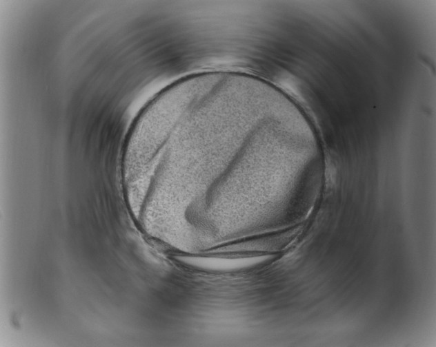 X0000098191336200805221508