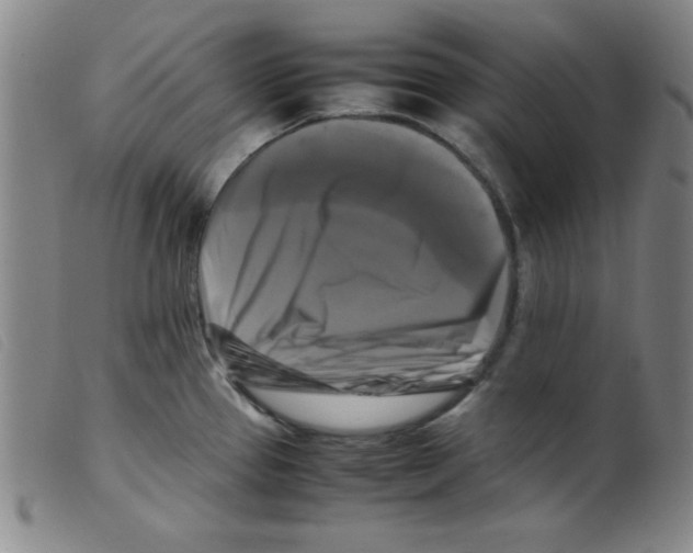 X0000098191337200805221508