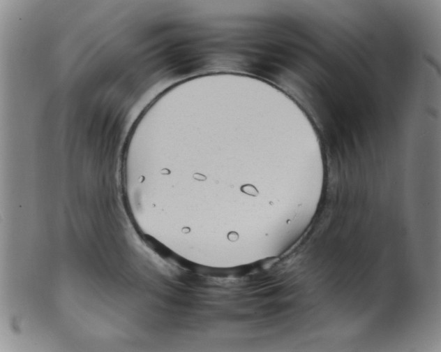 X0000098191339200805221508
