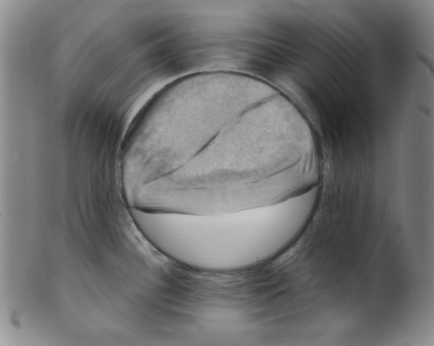 X0000098191340200805221508