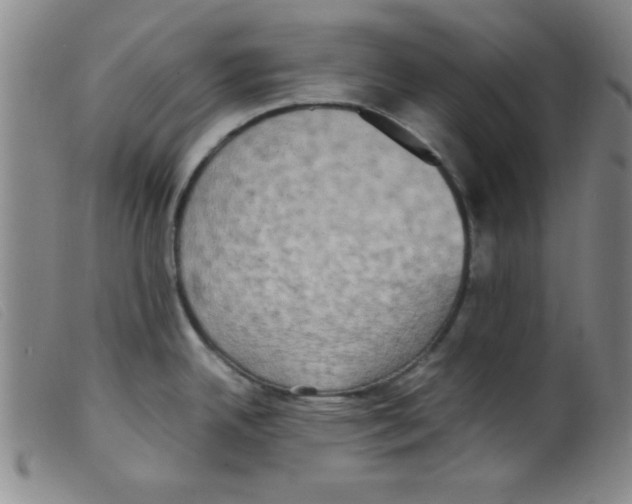 X0000098191342200805221508
