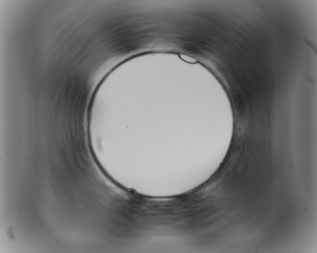 X0000098191343200805221508
