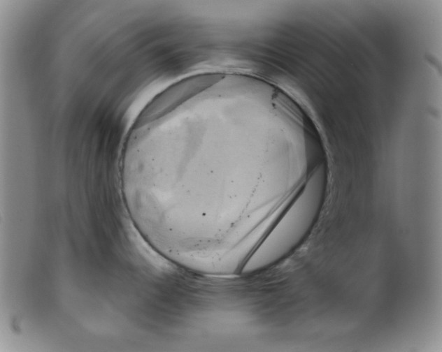 X0000098191344200805221508