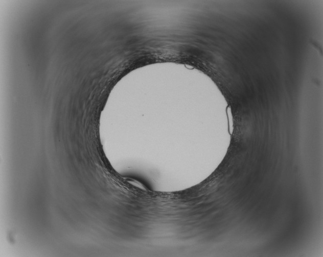 X0000098191345200805221507