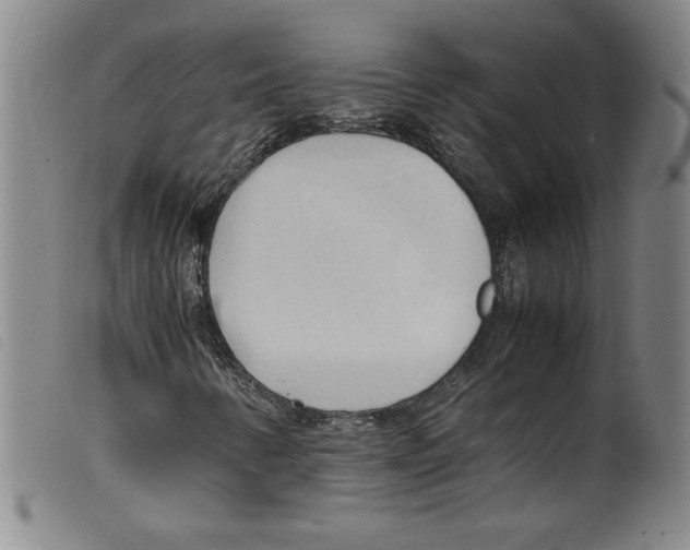 X0000098191346200805221507