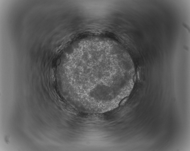 X0000098191347200805221507
