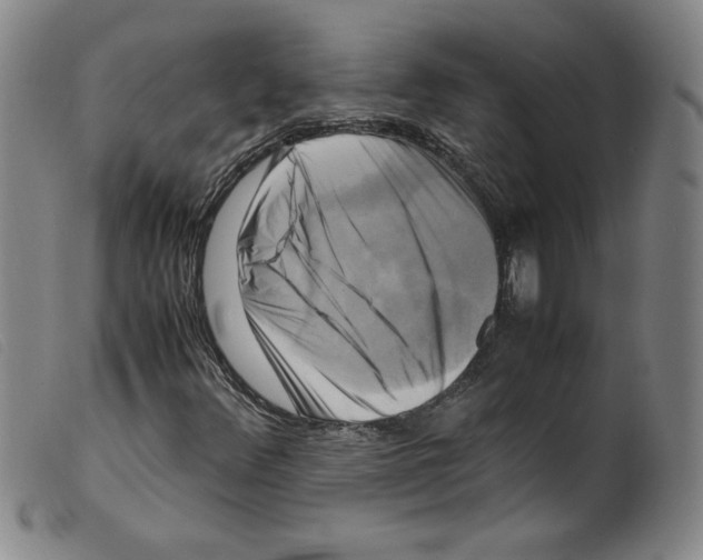 X0000098191348200805221507