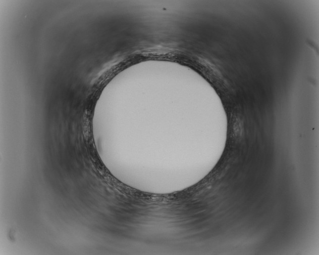 X0000098191350200805221507