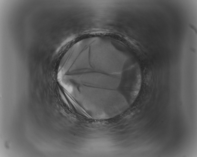 X0000098191351200805221507