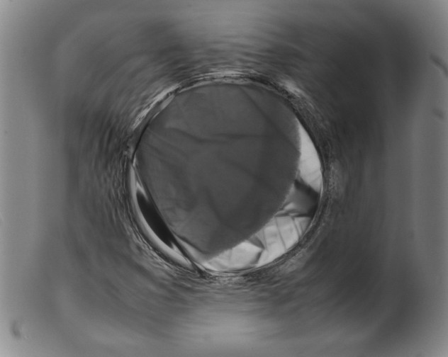X0000098191353200805221507
