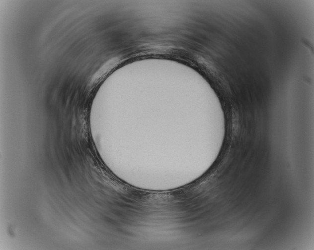X0000098191354200805221507
