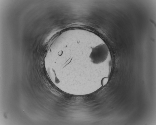 X0000098191355200805221507