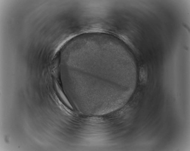 X0000098191356200805221507
