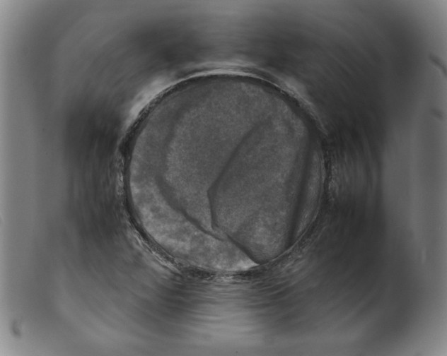 X0000098191360200805221507