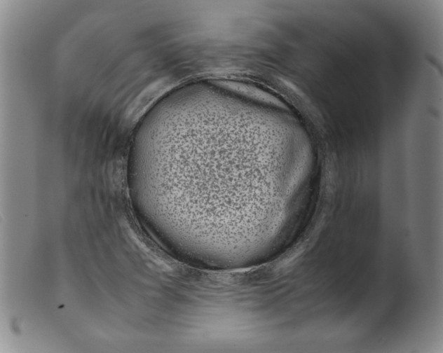 X0000098191361200805221507