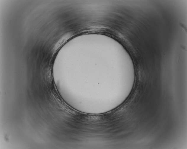 X0000098191362200805221507