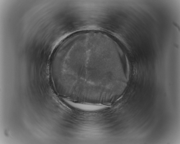 X0000098191364200805221507