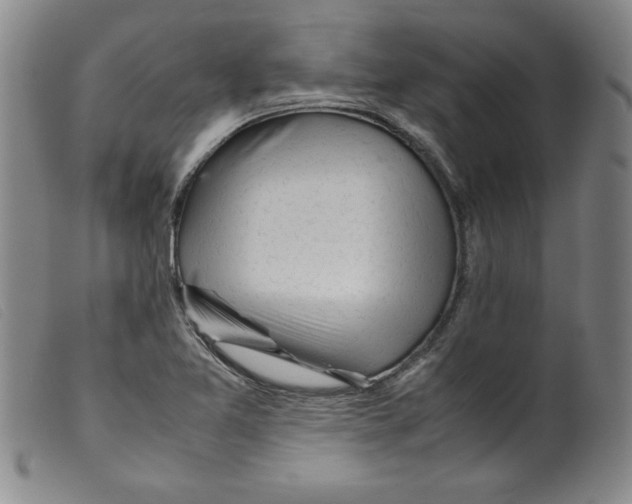 X0000098191365200805221507