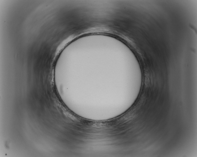 X0000098191366200805221507