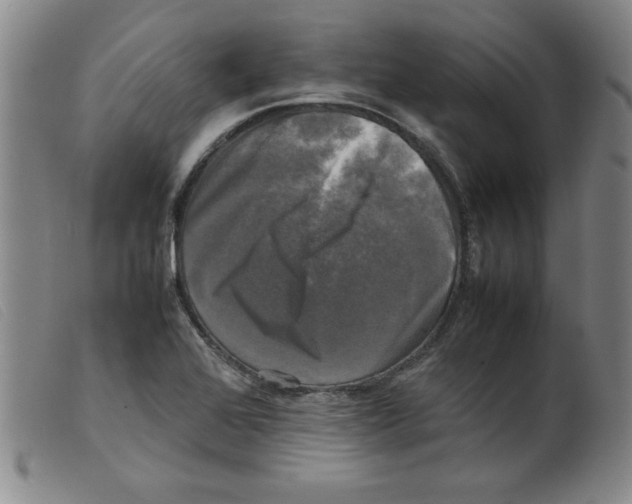 X0000098191368200805221507