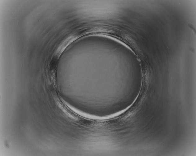 X0000098191369200805221507