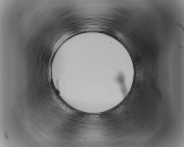 X0000098191370200805221507