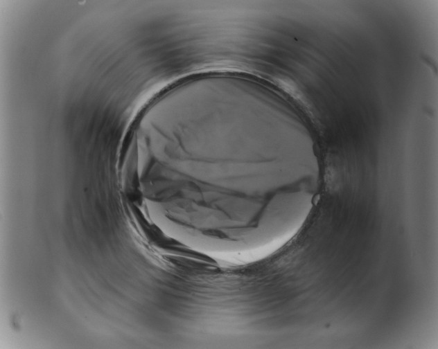 X0000098191372200805221507