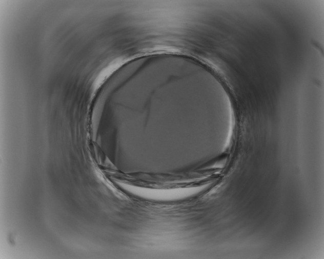 X0000098191373200805221507